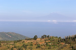 12898591114_bd5503cf89_o